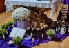 photo26